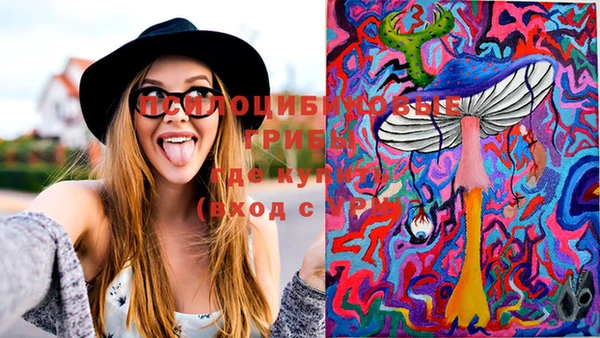 ECSTASY Корсаков
