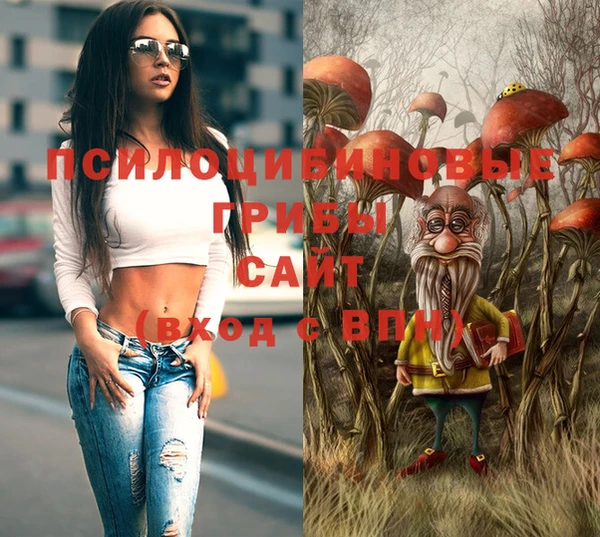 гидропоника Абинск